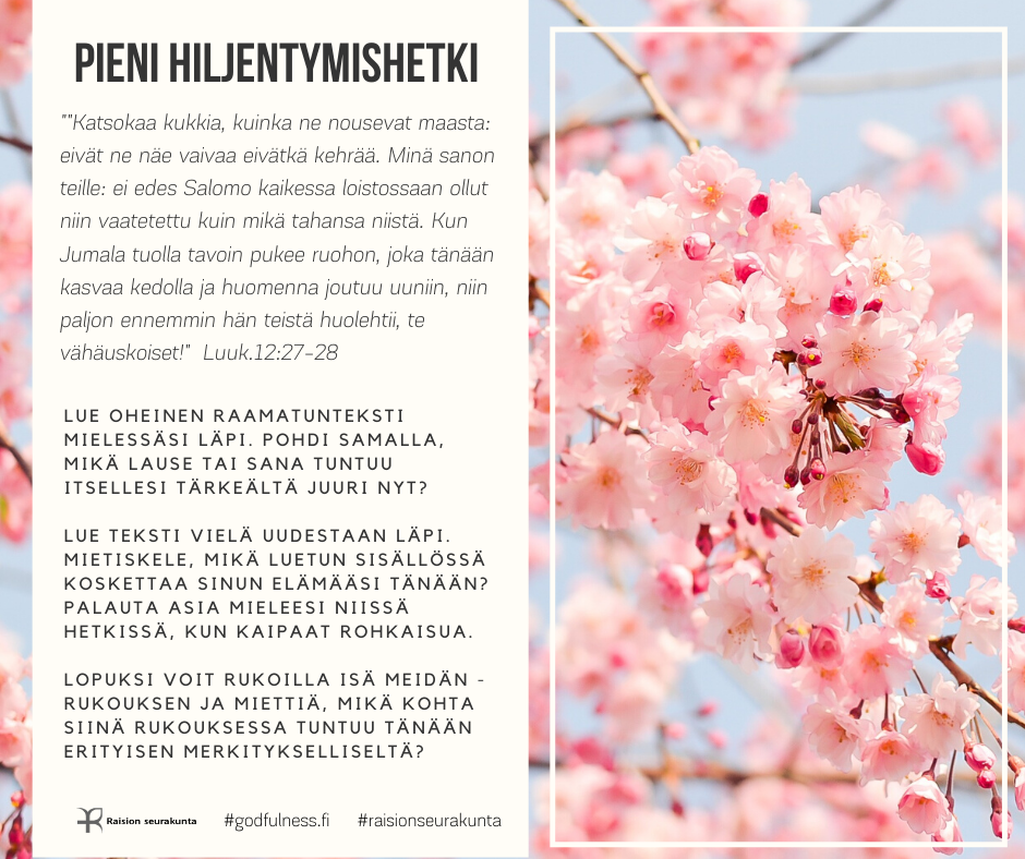 Kukkivan kirsikkapuu-kuvan päällä Pienen hiljentymishetken ohje.